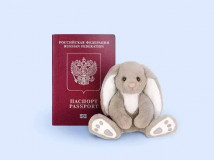 вита Хомутова напомнила об изменениях для путешествий с детьми - фото - 1